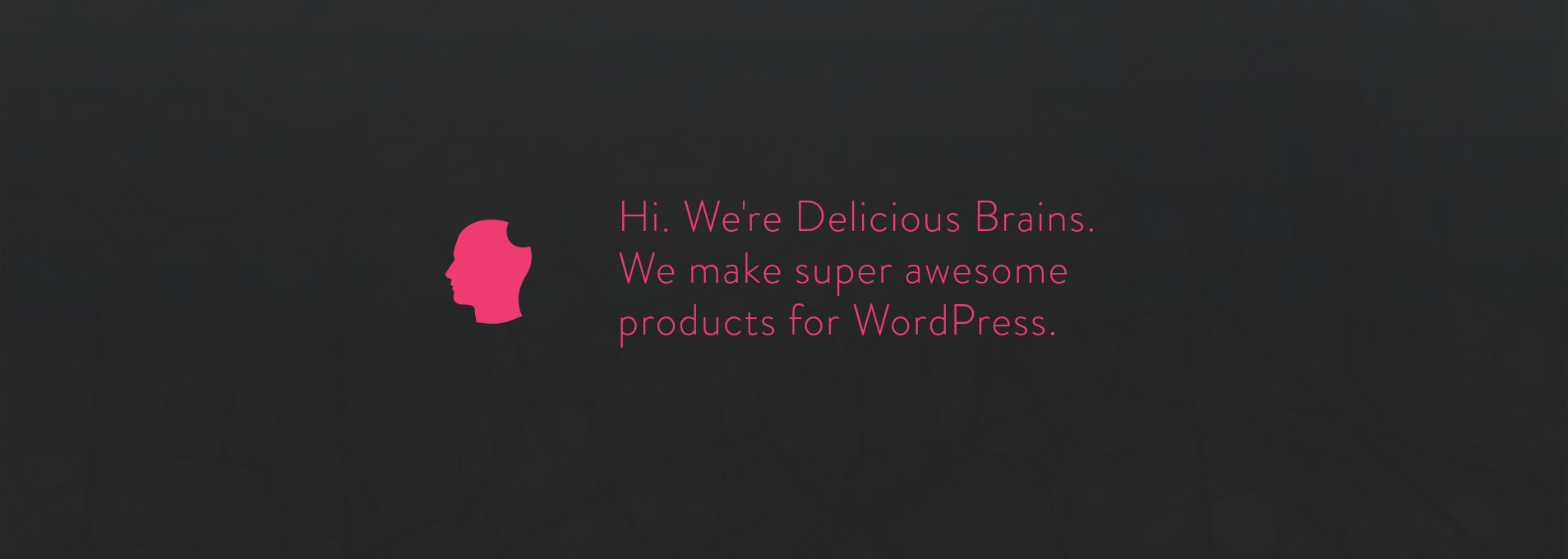 WordPress Developer Educator at Delicious Brains – Jonathan Bossenger